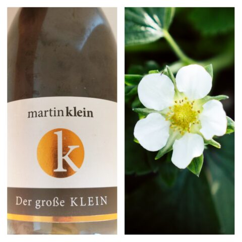 Der große Klein – feiner Pinot Meunier Brut Nature – Sektgut Klein (5/10)
